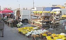 Wolumen do likwidacji czy modernizacji?