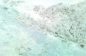 Dywizjonu 303. To się nazywa odśnieżanie!