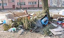 Dzikie wysypisko wróciło na Monte Cassino