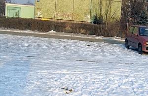 Walczyli z psimi kupami na Sobieskiego