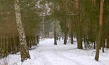 Drogowy galimatias wokół Tuberozy