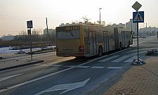 Niebezpiecznie po zmroku na zebrze przez Światowida