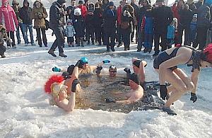 Zima morsa nie zatrzyma