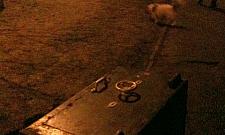 Poszukiwany właściciel sejfu lub Henryk Kwinto