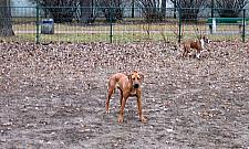 Strach wejść do parku Górczewska