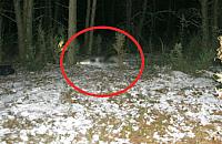 Udusił i spalił żonę z zazdrości