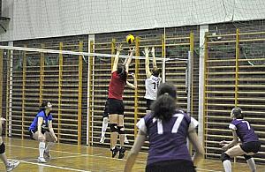 Zapisy do ligi siatkówki i piłki nożnej