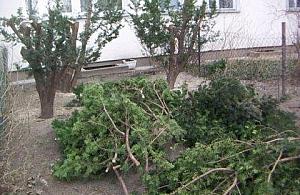 Na Broniewskiego przekupiła i wykorzystała bezdomnego