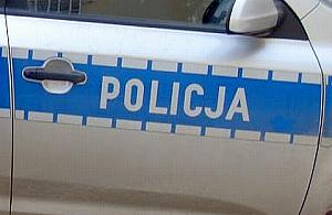 Miedzianotorby Andrzej R. na Woli