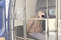 �mier� na Kasprowicza: brutalne pobicie kolegi