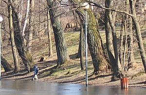 Fosa na Fortach Bema niszczeje