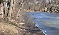 Fosa na Fortach Bema niszczeje