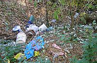 Śmieci do kontenera, nie do lasu!