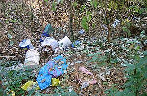 Śmieci do kontenera, nie do lasu!