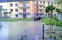 Strumykowa wygrała z Włodarzewską? Będzie sucho?