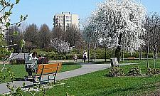 Kino letnie, uniwersytet muzyczny, biblioteka w parku