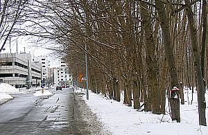 Brak pieniędzy na park&ride przy Nocznickiego