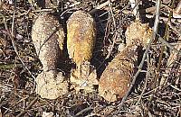 Niewybuchy odkopane na Mehoffera