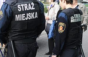 Uratowali psa uwięzionego w wykopie