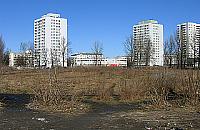 Prezes klubu: Sarmata nie zginie