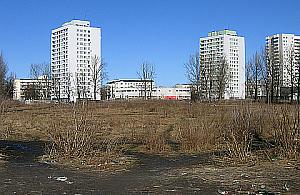 Prezes klubu: Sarmata nie zginie