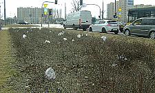 Interwencja: śmieci wesoło latają na Powstańców