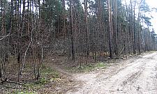 Na Kołacińskiej znaleziono ludzkie ręce