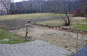 Awantury w parku Olszyna, potrzebny wybieg dla psów