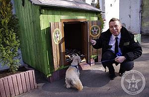 Okno życia dla zwierząt - czy przetrwa?