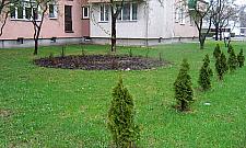 Konflikt na Bródnie: ZGN kontra Bazyliańska 8