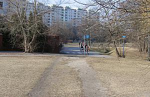 Nieistniejący chodnik do parku Olszyna. Urzędnicy: czyje to?