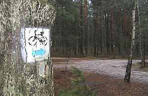 Ścieżka rowerowa, zdrowia i plac zabaw w Falenicy - reaktywacja!