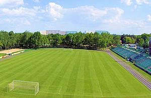 Smogorzewski nie Afrodyta, a Hellenów powita