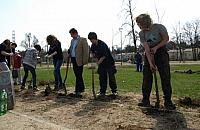 Plac Kościuszki obsadzony, placu zabaw nie widać