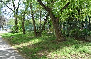 Pijaństwo na tyłach ogrodu jordanowskiego