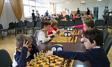 Szachy z "Geniuszem" na bielańskiej trawce