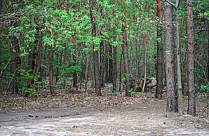 Ścieżka przyrodnicza przy szpitalu już we wrześniu