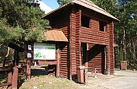 Nie nadążają sprzątać Lasu Bródnowskiego