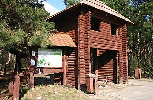 Nie nadążają sprzątać Lasu Bródnowskiego