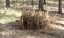 Nie nadążają sprzątać Lasu Bródnowskiego