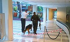 Bomba to były... ubrania pijanego