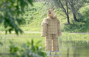 Miś na miarę naszych możliwości?