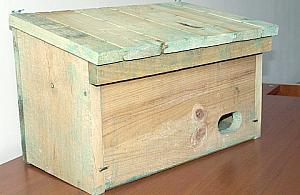 Skuteczny bat na komary? Mały ptaszek...