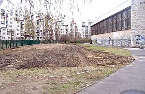 Ostoja dla dzikich zwierząt przy Gimnazjum 141