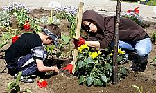 Dni Sąsiada - Reymonta i Żeromskiego uczą dobrych relacji