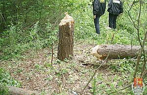 O włos od śmierci - głupota nastolatków