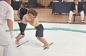 UKS FUKS Falenica zdobywa kolejne tytuły