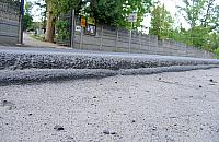 Feralny cmentarz w Aleksandrowie