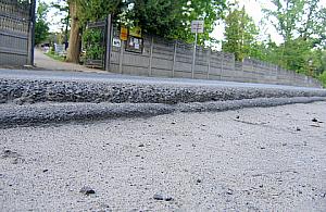 Feralny cmentarz w Aleksandrowie