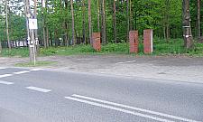Feralny cmentarz w Aleksandrowie